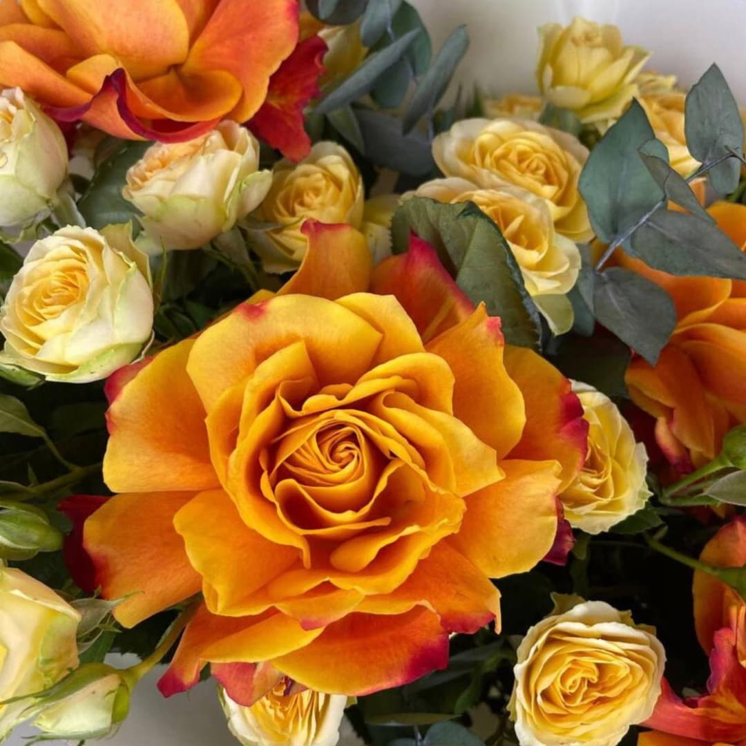 Яркий букет роз: Французские розы, кустовая пионовидная роза, эвкалипт / Оранжевые розы