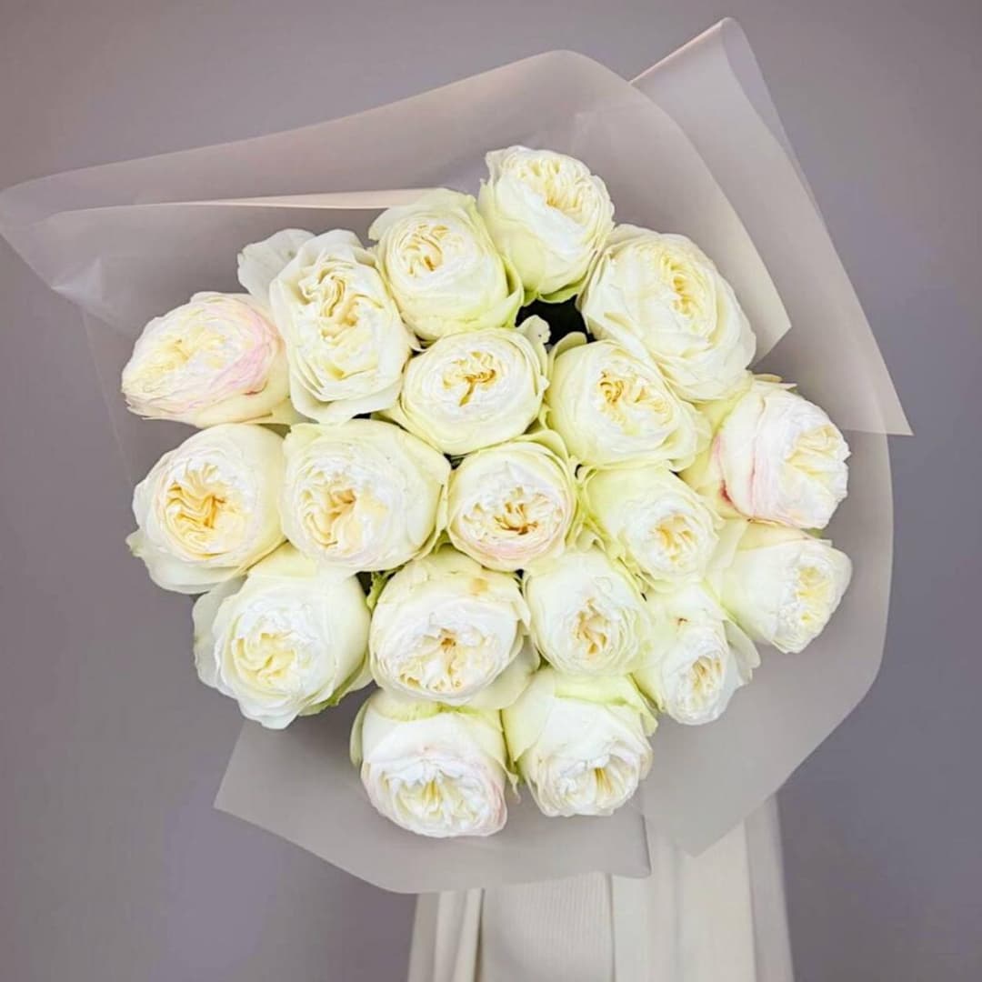 Пионовидные розы 19 шт / Крупный бутон / Премиум Букет роз / Красивый букет из роз