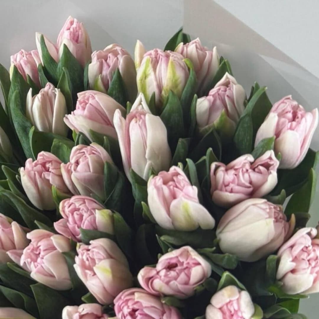 Пионовидные тюльпаны 51шт / Розовые тюльпаны