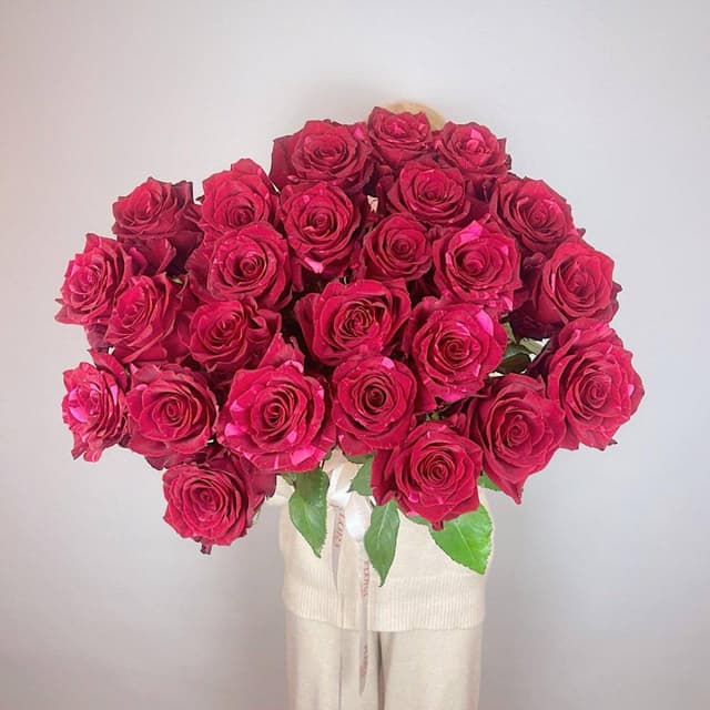 Эффектная охапка красных роз Red Panther — 280 ₽/шт