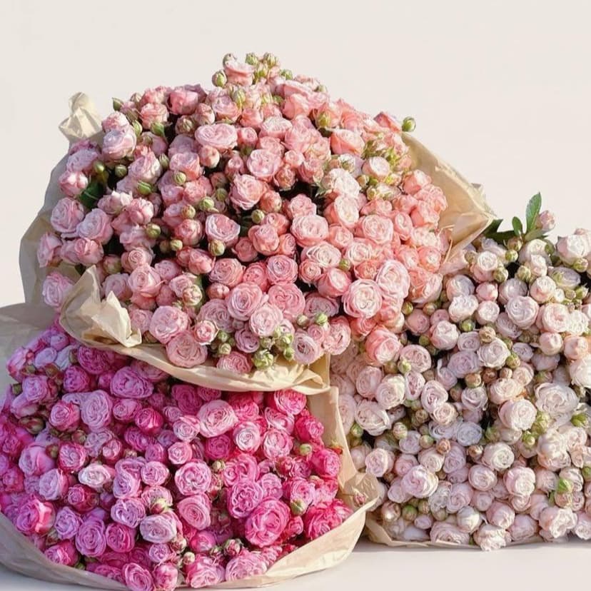 Пионовидные розы в коллекции Flora Global